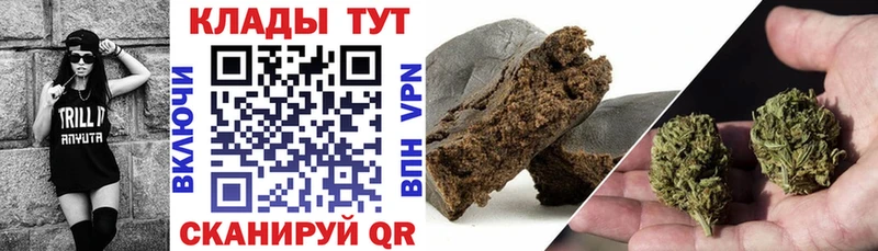 Где купить наркотики Снежногорск АМФ  Кокаин  APVP  Мефедрон  ГАШ 