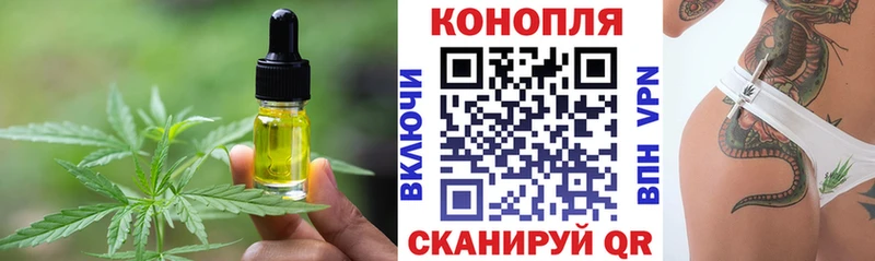 где найти наркотики  Снежногорск  Canna-Cookies конопля 