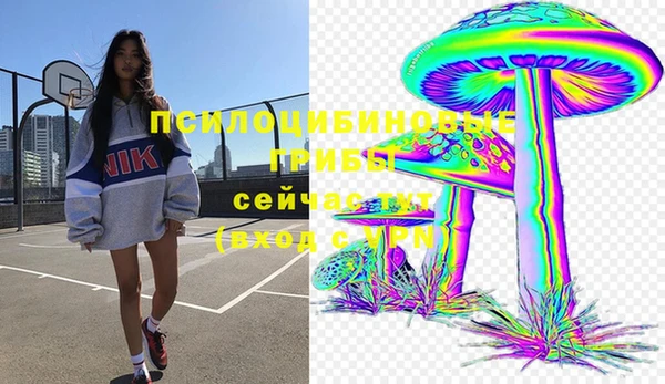 прущие грибы Протвино