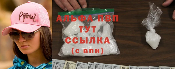 прущие грибы Протвино