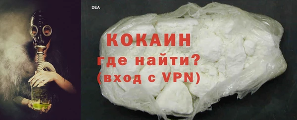 прущие грибы Протвино