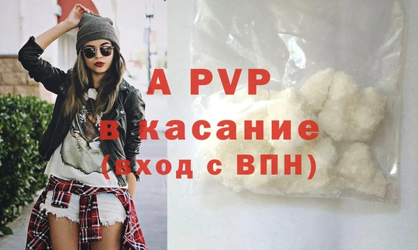 Альфа ПВП Ростов