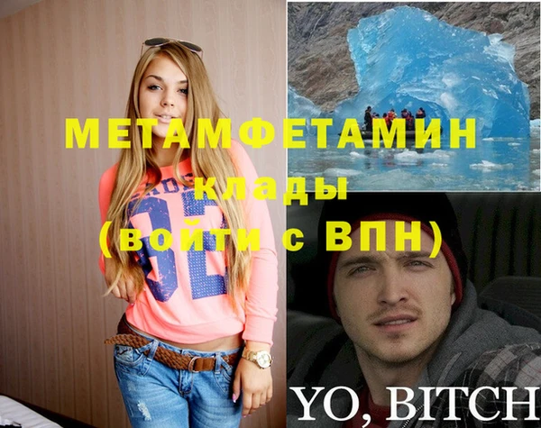 прущие грибы Протвино