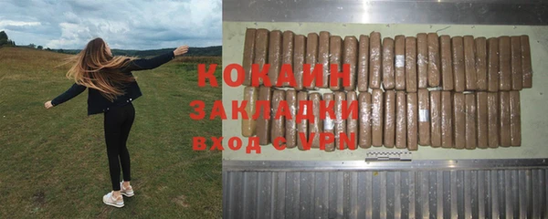 прущие грибы Протвино