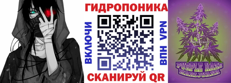 закладки OMG вход Шишки марихуана гибрид Снежногорск